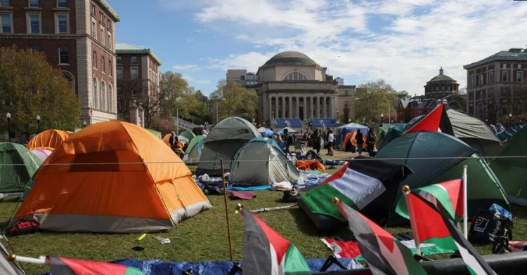 Zgjerohen protesta pro Palestinës në universitetet amerikane, qindra arrestime