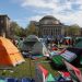 Zgjerohen protesta pro Palestinës në universitetet amerikane, qindra arrestime
