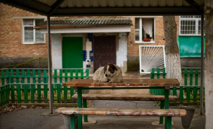 Jeta në Çernobil, 38 vite pas fatkeqësisë bërthamore