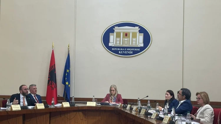 Bardhi kërkoi më shumë kohë, PS ngre me shumicë votash Komisionin e Posaçëm kundër Dezinformimit