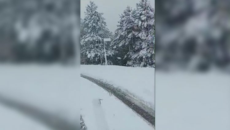 Dëborë në Fushë–Arrëz/ Kryebashkiaku Curri publikon pamjet: Mirësevini turistë të dashur
