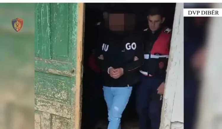 3 makina dhe 12 targa të vjedhura/ Arrestohet 22-vjeçari në Dibër, do t’ua jepte grupeve kriminale