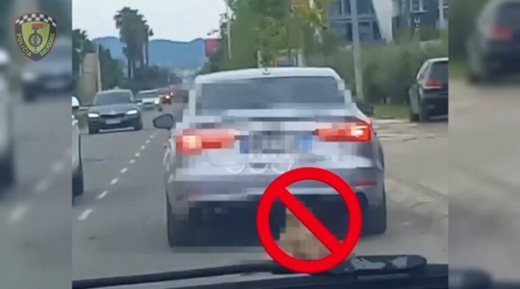 Tërhoqi qenin zvarrë me makinë në kryeqytet, shoferi gjobitet me 6 mijë lekë