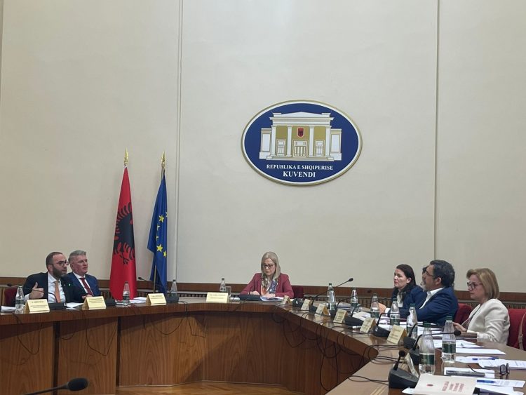 Çuçi replikon me opozitën për ngritjen e Komisionit për Dizinformimin: S’mund të jemi imunë kur nuk është SHBA apo BE