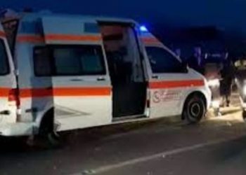 Tiranë/ Humb jetën 64-vjeçari në Petrelë, familjarët: U tërhoq nga një kafshë