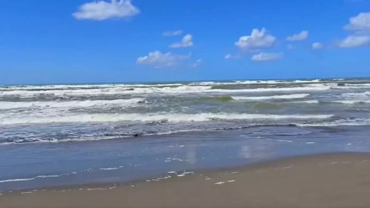 Darzeza e Fierit bëhet gati për sezonin veror, Rama: Një perlë tjetër e Adriatikut