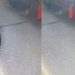 Arrestohet hajduti i monopatinave në Tiranë