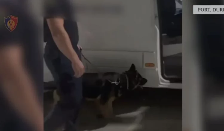 Do të merrte kokainën e ardhur nga Shqipëria në Angli, policia shpall në kërkim 37-vjeçarin