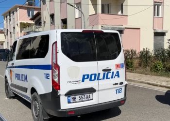 Sherr mes dy vëllezërve në Vorë, arrestohen nga policia
