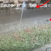 Video/ 22-vjeçari shqiptar humbi jetën tragjikisht në Greqi, dalin pamjet e aksidentit të rëndë 