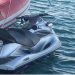Kontrolle në vijën bregdetare, Policia Kufitare bllokon dy Jet Ski dhe ndëshkon drejtuesit e tyre