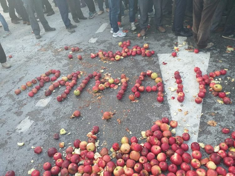 “Fermerët dhe blegtorët po falimentojnë”, Tedi Blushi: Fondet e IPARD në vend që të shkonin për bujqësinë, përfunduan tek inceneratori