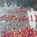 “Fermerët dhe blegtorët po falimentojnë”, Tedi Blushi: Fondet e IPARD në vend që të shkonin për bujqësinë, përfunduan tek inceneratori