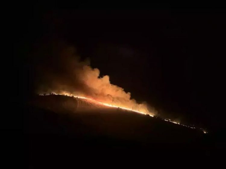 Viktima dhe të plagosur, zjarret përfshijnë Turqinë