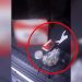 Dibër/ Shpërndanin lëndë narkotike në doza, në pranga 27-vjeçari, 5 të tjerë në hetim