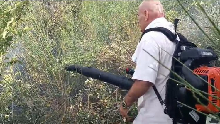 Zjarr në kodrat e Vainit në Karbunarë, digjen 5 ha me ullinj