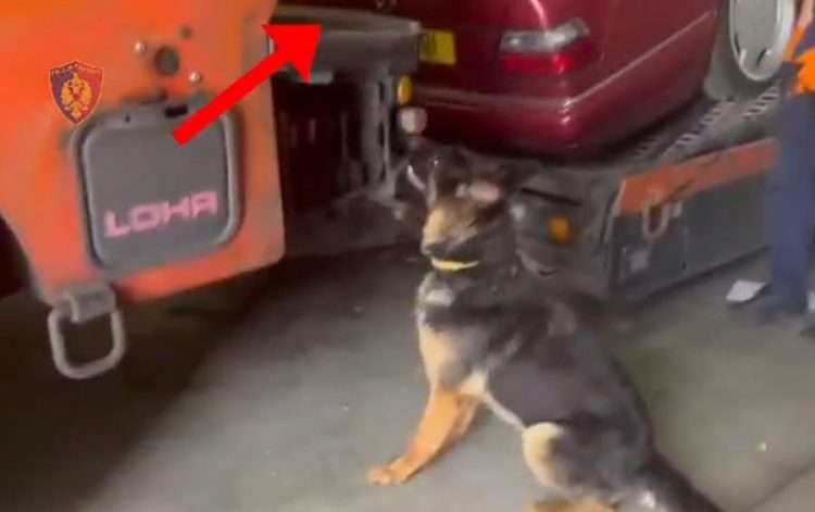 Zbulohen 111 mijë paunde të fshehura në kamionin që transportonte makina nga Anglia