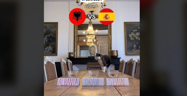 Video/Ka gjetur shumicën e ndeshjeve, kush fiton në përballjen Shqipëri-Spanjë sipas maces “Nimbus Pronos” 