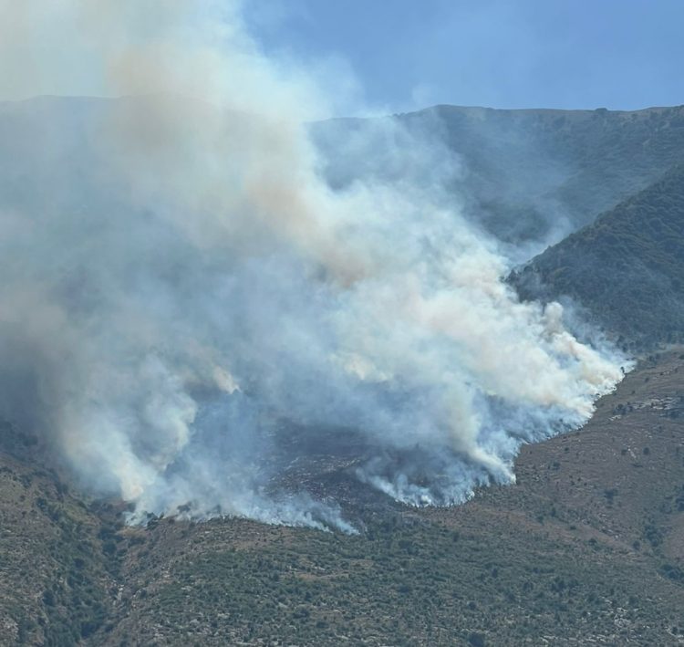 Zjarr në Gjirokastër/ Përfshihet nga flakët kurora e gjelbër në Mashkullorë, zjarrfikësit tentojnë fikjen me mjete rrethanore
