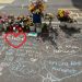 Zvicër/Po kthehej nga shkolla bashkë motrën e vogël, kamioni përplas për vdekje 11-vjeçarin shqiptar
