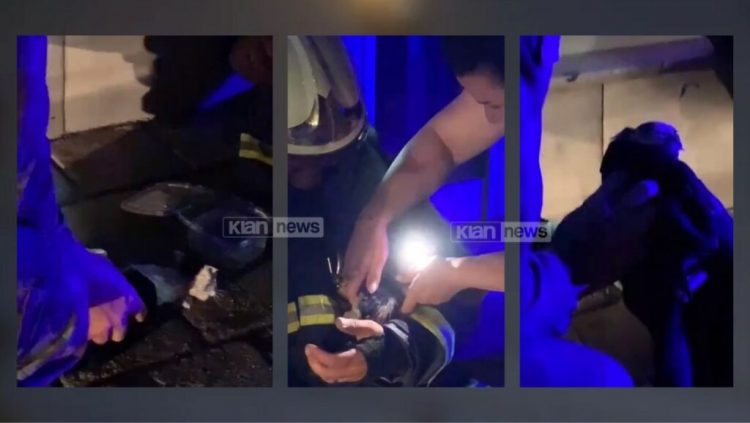 Emocionuese nga Shkodra/ Zjarrfikësi hero shpëton kotelen nga flakët (Video)