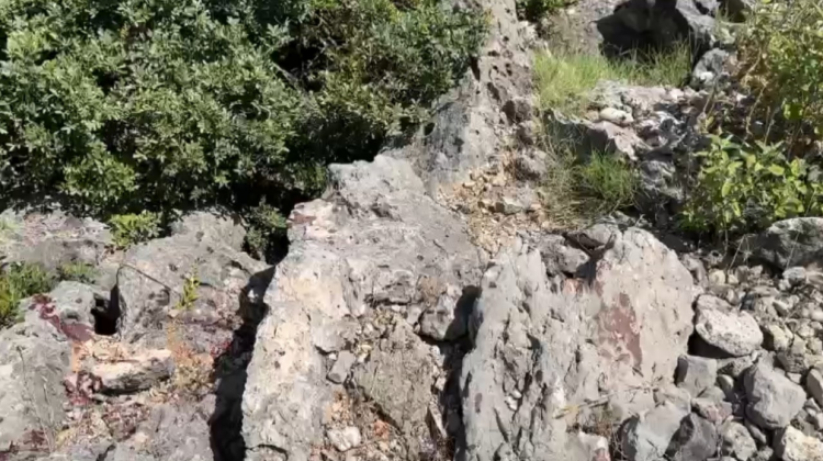Foto/Gjak, doreza plastike dhe një copë e bardhë, çfarë u gjet në vendin ku ishte hedhur trupi i pajetë i Eraldo Nevruzit