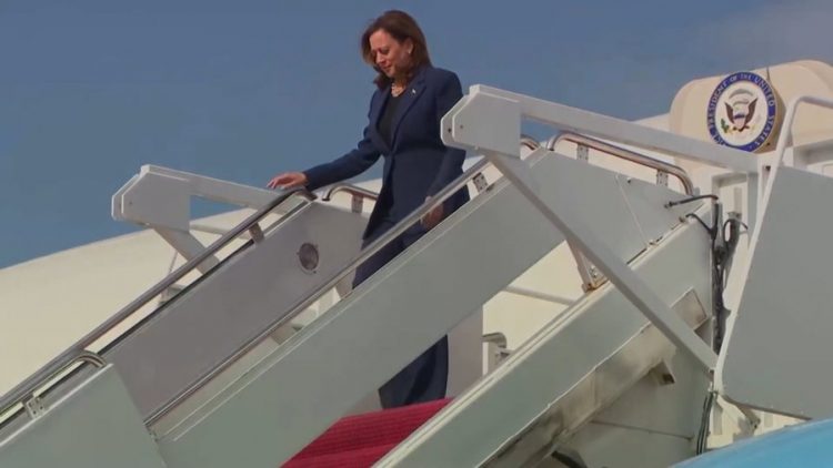 Sondazhet favorizojnë Harris, zëvendëspresidentja e SHBA: Trump do ta kthejë vendin pas