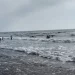 Rrezikoi të mbytej në plazhin e Tales, pushuesi dërgohet drejt spitalit në gjendje të rëndë