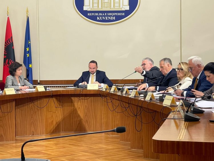 Komisioni për “TIMS”, PS kërkon përfundimin e hetimit