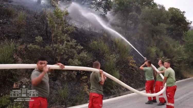 Situata e zjarreve në vend, Peleshi: Janë shtatë vatra aktive në të gjithë vendin