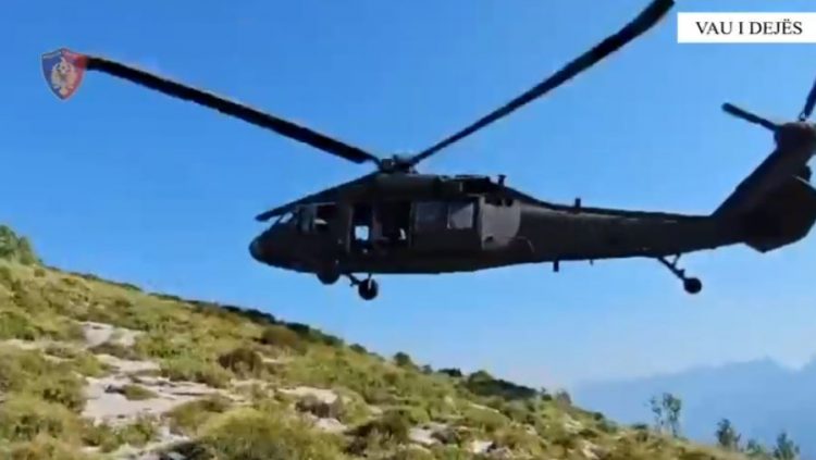 Asgjësohen mbi 8 mijë bimë kanabis në Vaun e Dejës