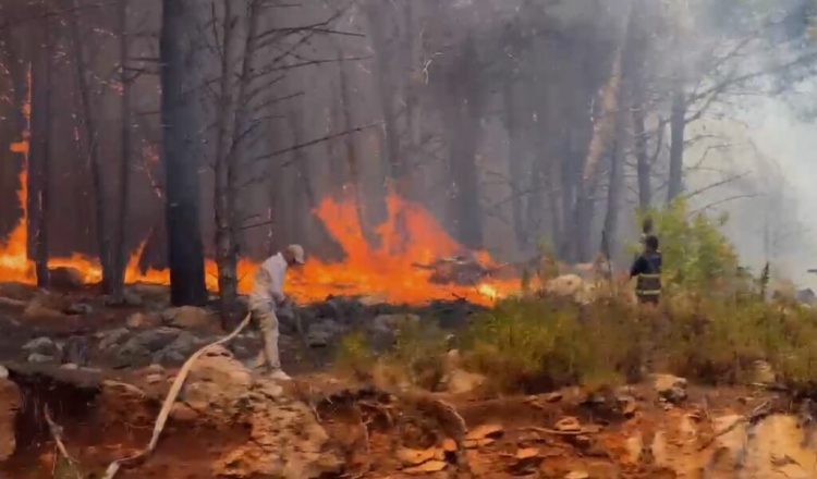 Situata nga zjarret në Lezhë, 300 efektivë të FA dhe 100 forca bashkiake të angazhuar për shuarjen e flakëve