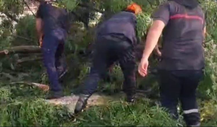 Berati përfshihet nga zjarri dhe rreshjet e shiut. Sipërfaqe të mëdha të djegura dhe pemë të rrëzuara