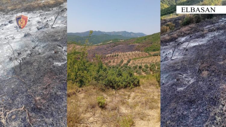 Zjarret në Elbasan/ Policia identifikon dy autorë, një i arrestuar dhe një i proceduar penalisht