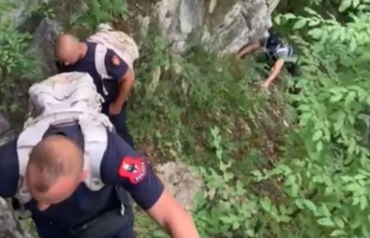 Asgjësohen mbi 15 mijë rrënjë kanabis në Vaun e Dejës