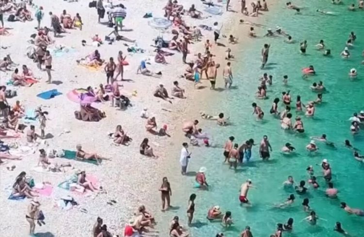 Video/ Rama ndan pamjet nga një plazh në Sazan: Sezon i jashtëzakonshëm prurjesh në Shqipëri 