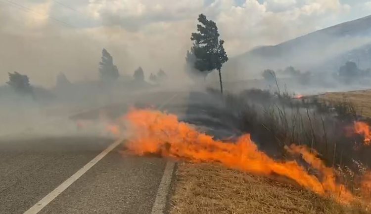 Zjarret në Dropull, përfundojnë të lënduar në spital dy zjarrfikës