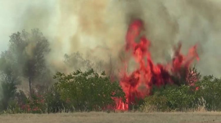Zjarret në Maqedoninë e Veriut, situatë alarmante në disa rajone