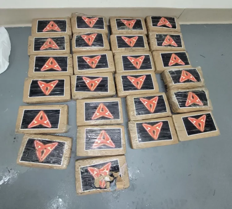 Uragani Debby nxjerr në plazhin e Floridës kokainë me vlerë 1 milion dollarë