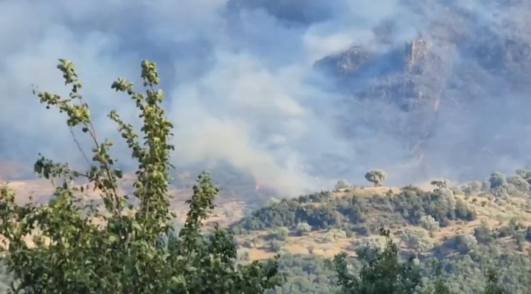 Zjarr i madh në Tepelenë, me dhjetëra zjarrfikës po punojnë për lokalizimin e flakëve