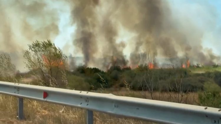Zjarr në Fushë-Milot, shkrumbohen sipërfaqe me ullinj