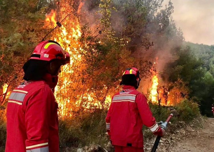Ja si paraqitet situata e zjarreve në vend, 11 vatra vijojnë të jenë aktive