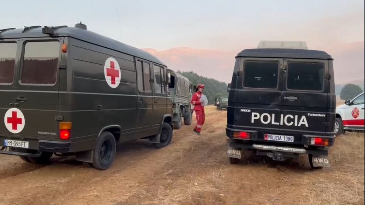 Zjarri pranë Parkut Kombëtar të Prespës, 80 forca zjarrfikëse e policore zbresin në terren