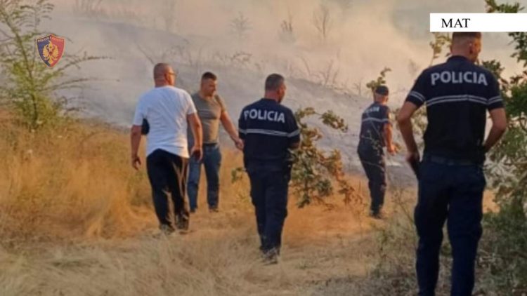 Mat/ Ndezi zjarr për të pastruar kullotën e tij dhe dogji 2 ha tokë, procedohet 68-vjeçari