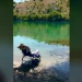 Rama publikon pamjet nga lumi Buna: Copë parajse e fshehur pak kilometra nga Shkodra