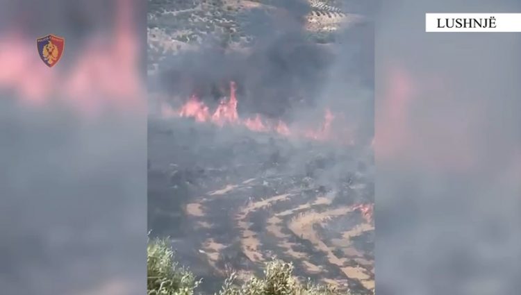 Ndezi zjarr për të djegur mbeturinat dhe si pasojë u dogjën 50 hektarë tokë, arrestohet 70-vjeçari 