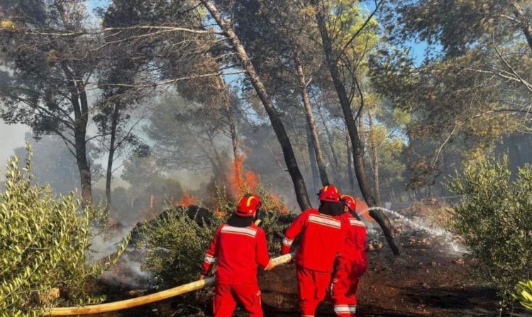 Shqipëri, ekspertët bëjnë thirrje për masa kundër ndryshimeve klimatike
