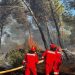 Shqipëri, ekspertët bëjnë thirrje për masa kundër ndryshimeve klimatike