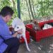 Streha e kafshëve në Tiranë me standarde europiane/ Veliaj apel qytetarëve: Mos i braktisni kafshët në rrugë, silleni për adoptim