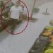 Video/ U dhuna për vdekje, publikohen momentet e fundit të jetës së Egli Progës. Si doli nga lokali 42-vjeçari…